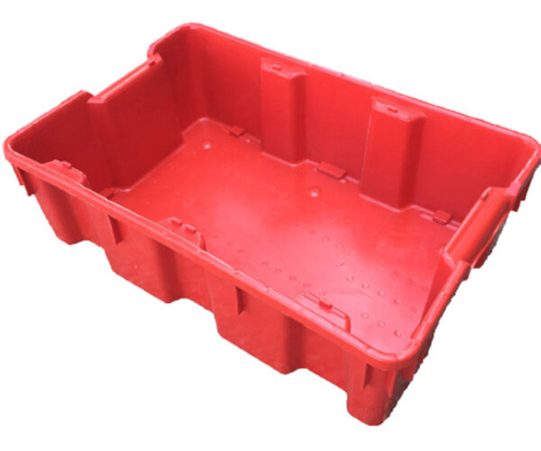 Haskap-Berry-Storage-Tray-main