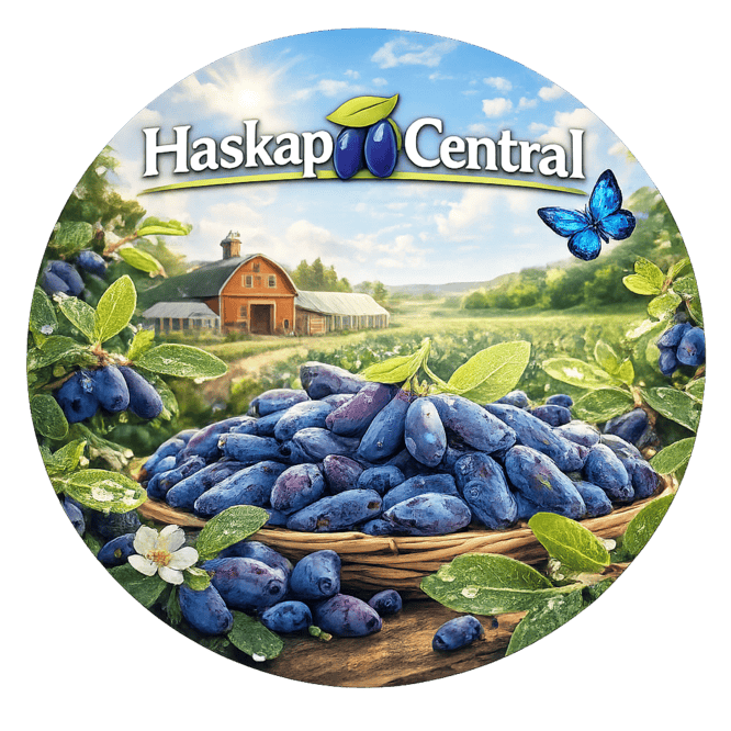 Haskap Central Sales Ltd SK Promotional Banner