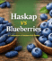 Haskap vs Blueberries – Key Differences Every Gardener Should Know