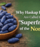 Why Haskap Berries Are Called the Superfruit of the North