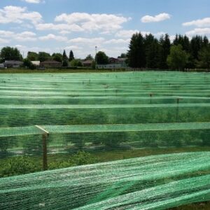Bird Netting-Lightweight (15′ x 500′)