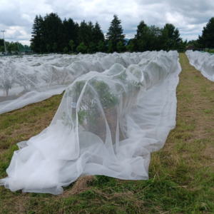 Insect Netting