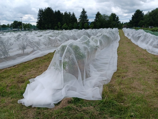 Insect Netting